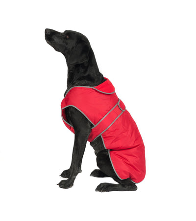 Ancol Muddy Paws Stormguard Coat & Chest Protector Red Small/Medium